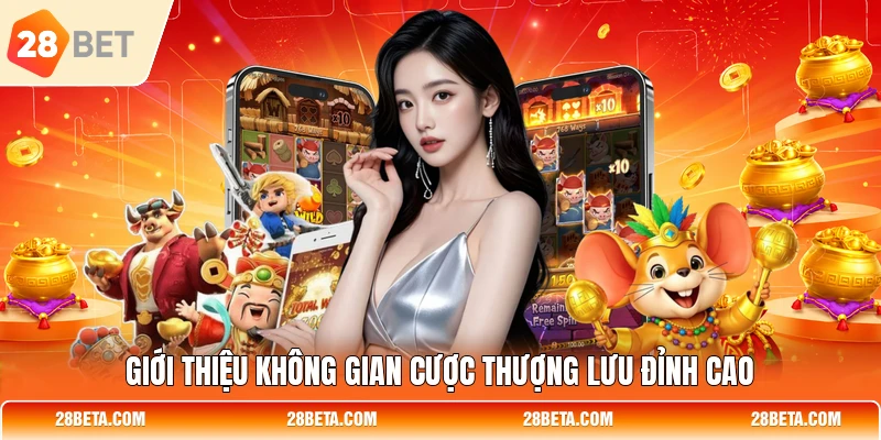 gioi thieu khong gian cuoc thuong luu dinh cao Giới thiệu không gian cược thượng lưu đỉnh cao